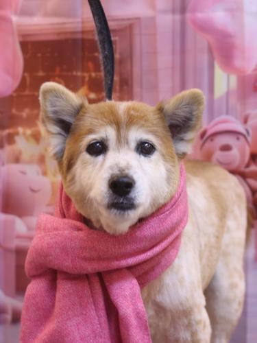 2241217ボニーちゃん